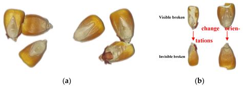 Agronomy Free Full Text Real Time Detection System Of Broken Corn