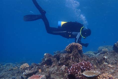 The Great Barrier Reef Foundation