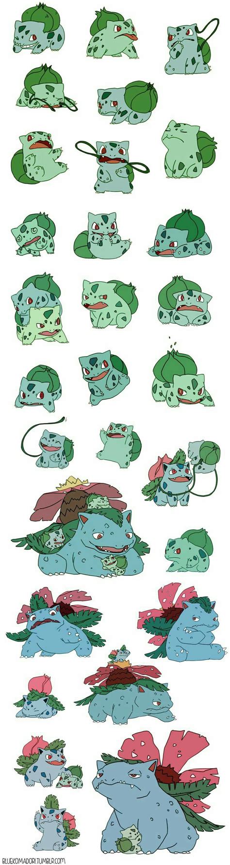 Bulbasaur, Ivysaur, Venusaur, cute, evolution; Pokémon | Pokemon bulbasaur, Bulbasaur, Pokemon ...