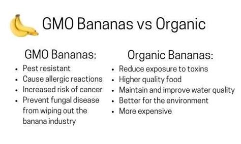 GMO Bananas vs Organic | What to Buy? - Wellbeing with Grace