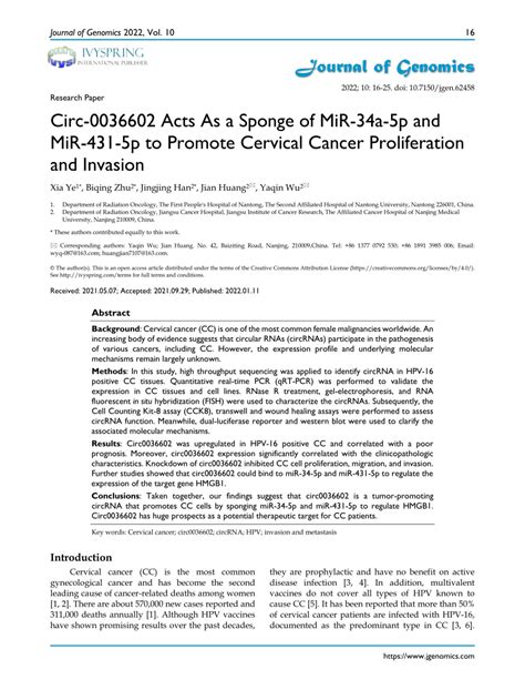 PDF Circ 0036602 Acts As A Sponge Of MiR 34a 5p And MiR 431 5p To