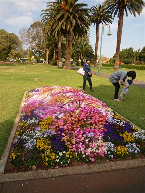 Interesting Blabber: Toowoomba Flower Festival