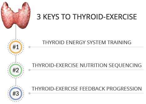 Hypothyroidism Exercise Revolution