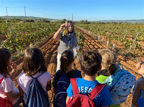 Sortida A La Vinya Escola La Muntanyeta