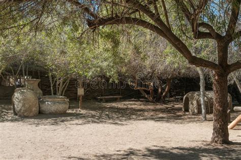 The Living Desert Zoo and Gardens, Palm Desert Stock Photo - Image of california, mammal: 174353588