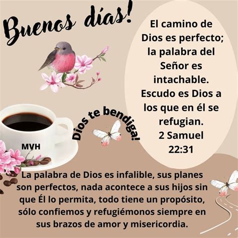 Pin On Estudios Biblicos Good Morning Quotes Morning Quotes Life Quotes