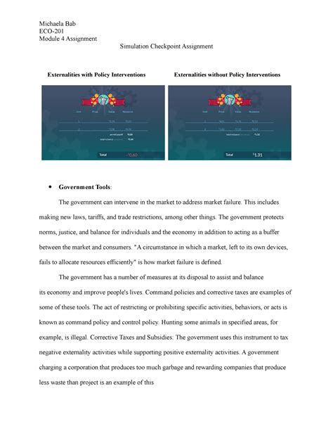 Module Simulation Checkpoint Assignment Michaela Bab Eco Module