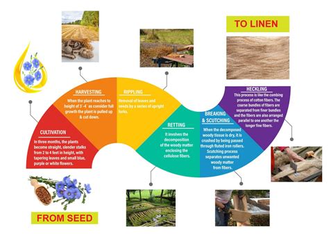 production flowchart  linen  flax fibre textile apex