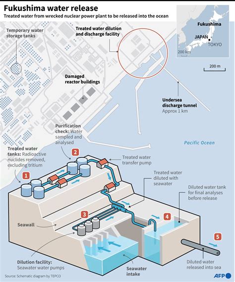 Japan Begins Dumping Fukushima Wastewater Into Ocean Amid Protests