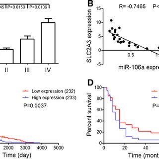 Decreased MiR 106a Confers A Poor Prognosis In GBMs A Real Time PCR