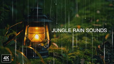 🌧️jungle Rain Sounds🌿 Relaxing Rainfall And Bird Chirping For Sleep And