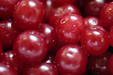 Sour cherry | Recipes Wiki | FANDOM powered by Wikia