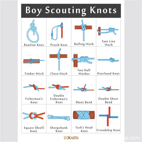 Scouts! You remember your knots? | 🥷 Knowledge Ninja