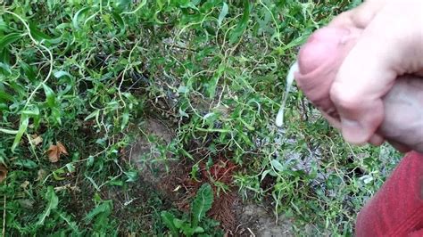 Handjob And Cumshot Solo Compilation Gay Man Porn XHamster