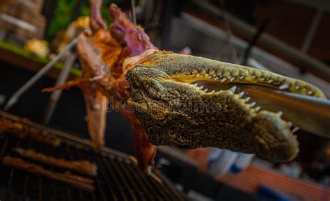 Coccodrillo Arrostito Con La Salsa E L Insalata Di Peperoncino Rosso