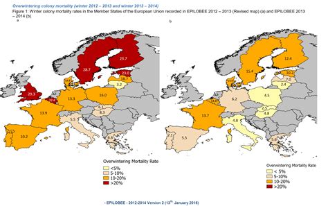 Honey bee loss in numbers - a worldwide problem | Bees4life