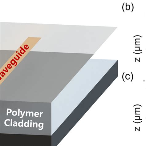 A 3d Schematic View Of The Germanium Nanostrip Waveguide In Polymer Download Scientific