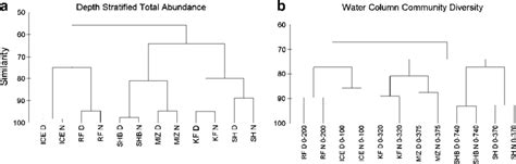 Hierarchical Cluster Dendrograms Based On Bray Curtis Similarity