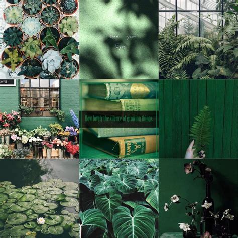 Color Moodboard Green Mood Board Design Adopt Idea Mood Boards