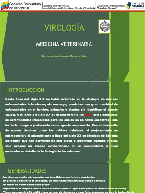 Clases De Virología Veterinaria Pdf Virus Virología