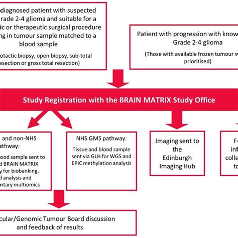 Study schema for the Tessa Jowell BRAIN MATRIX Platform study. GLH