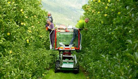 Agriculture and Farming Courses - Rita Charitable Trust