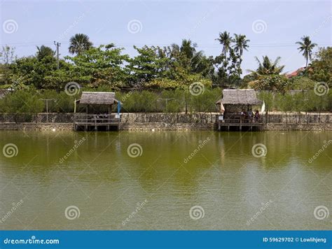 Fishing pond stock photo. Image of summer, travel, shelter - 59629702