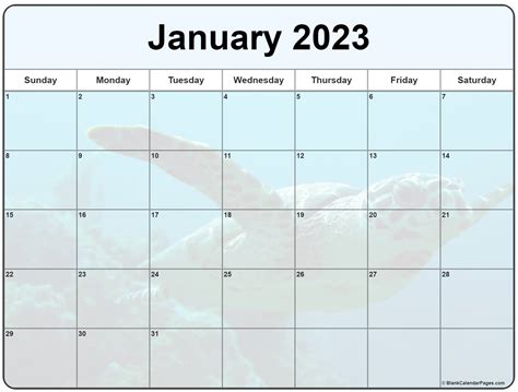 Collection of January 2023 photo calendars with image filters.