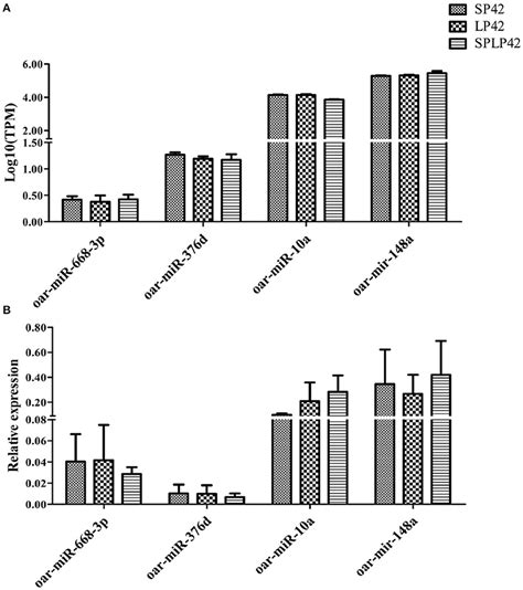 Frontiers Identification Of Photoperiod Induced Specific Mirnas In