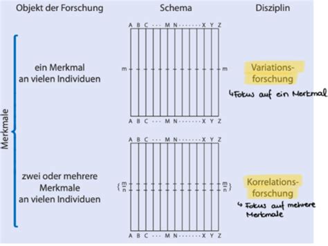 Geschichte Der Pers Nlichkeitspsychologie Karteikarten Quizlet