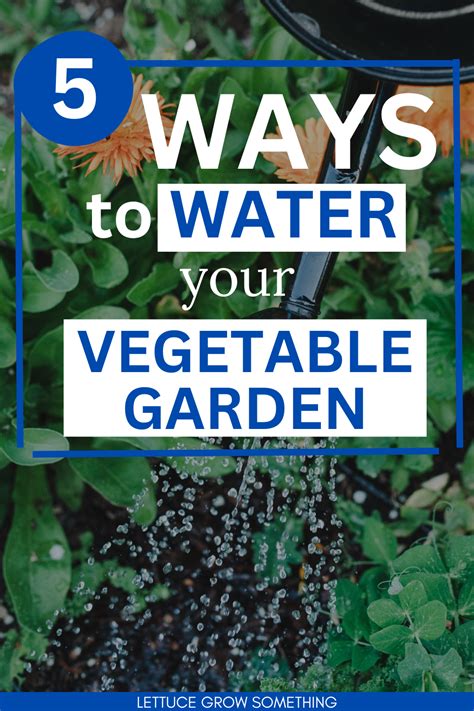 5 Different Ways To Water Your Vegetable Garden Lettuce Grow Something