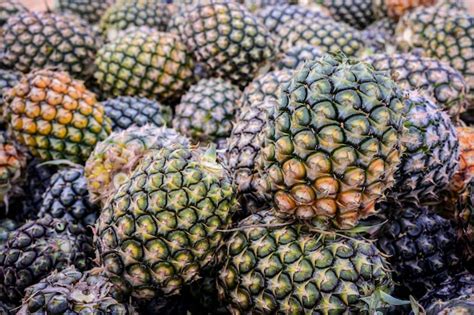 Pineapple harvest Images - Search Images on Everypixel