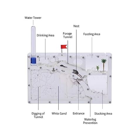 NAVAdeal Sand Ant Farm Castle 2023 Habitat Educational Learning