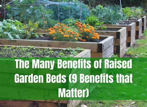 The Many Benefits Of Raised Garden Beds 9 Benefits That Matter