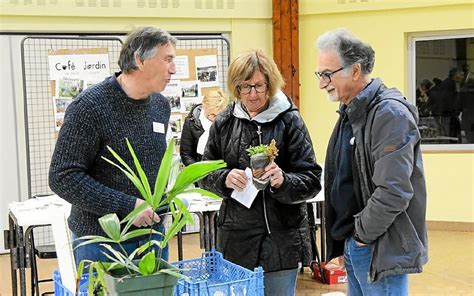 Caf Jardin Organise Une Bourse Aux Plantes Saint Urbain Ce Samedi