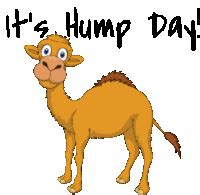 Hump Day GIFs | Tenor