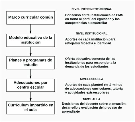 Niveles de concreción curricular de la RIEMS Download Scientific Diagram