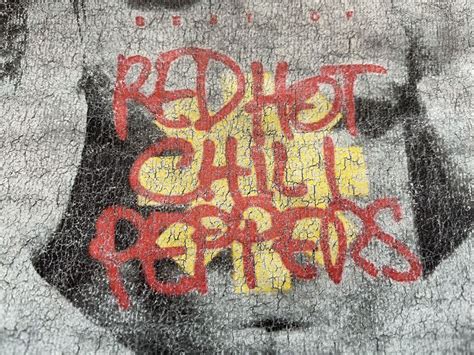 S Red Hot Chili Peppers T Akira T Kiss T