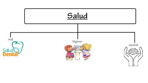 Mapa Conceptual De Salud Guia Paso A Paso Images