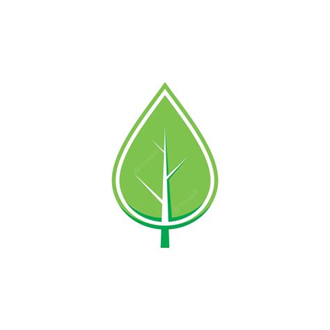 Premium Vector Leaf Logo Nature Icon