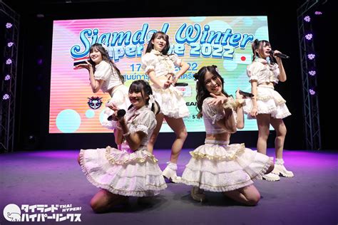 Siamdream Espresso Siamdol Winter Super Live