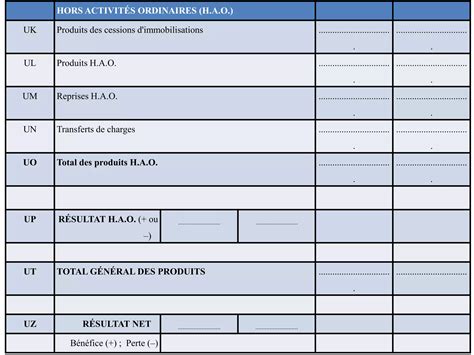 Etats Financiers En Syscohada PDFDrive Pdf