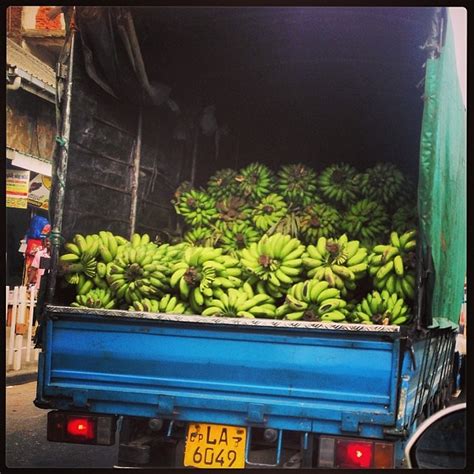 Truckload Of Bananas Daisy Green Food Flickr