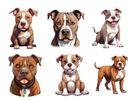 Pitbull Dog Clipart Graphic by Nayem Khan · Creative Fabrica