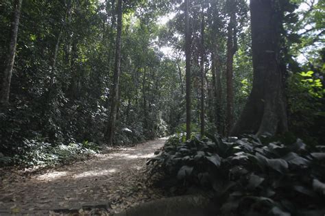 Turista é resgatado após passar 5 dias perdido em trilha em Bertioga