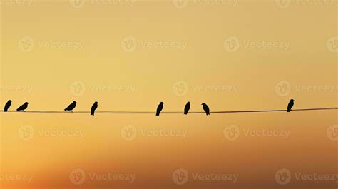 Ideal background for minimalist bird silhouette photography 27381325 ...