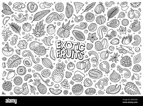 Cartoon Vector Line Art Doodle Set Features A Variety Of Exotic