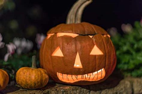 History And Traditions Of Halloween In The Uk Plus How To Carve A