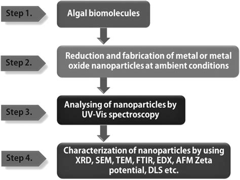 1 Steps in synthesis of nanoparticles. | Download Scientific Diagram