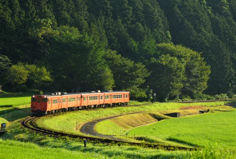 鉄道定番紀行 因美線の水田の中の大カーブを行くキハ120形とキハ47系（智頭～土師）